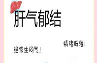 柴胡白芍疏而不伤阴；香附川芎行而不耗气；郁金佛手清而不涩滞。